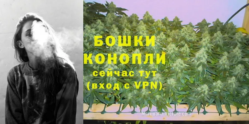 Конопля Ganja  купить наркоту  Высоковск 